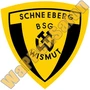 Thumb Bsg Wismut Schneeberg