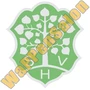 Thumb Sv Homburg Saar Von 1945 1958