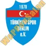 Thumb Tuerkiyemspor Berlin 1987 1994