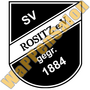 Thumb Sv Rositz   1990   1995