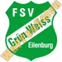Thumb Fsv Gruen Weiss Eilenburg 1990 2001