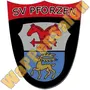 Thumb Sv Pforzen