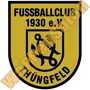 Thumb Djk Fc Thuengfeld