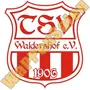 Thumb Tsv Waldershof 1906