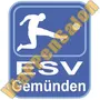 Thumb Esv Gemuenden