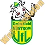 Thumb Vfl Gruen Gold Guestrow   Nachwuchs