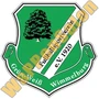 Thumb Fsv Gruen Weiss Wimmelburg