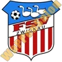 Thumb Fsv Zwickau
