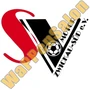 Thumb Sv Motor Zwickau Sued   Seit 2005