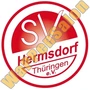 Thumb Sv Hermsdorf