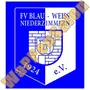 Thumb Fv Blau Weiss Niederzimmern 1924