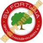 Thumb Sv Fortuna Grossschwabhausen