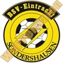 Thumb Bsv Eintracht Sondershausen