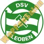 Thumb Dsv Leoben   1992 1995