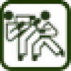 36x36 Karate